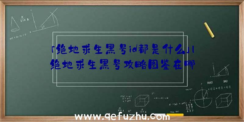 「绝地求生黑号id都是什么」|绝地求生黑号攻略图鉴在哪